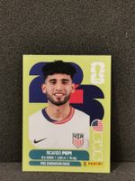 Panini Wm 2026 Sticker :Ricardo Pepi USA 18