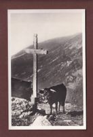 VACHE et Calvaire - Sur l'Alpe