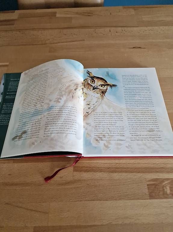 Libri: Harry Potter Sonderedition  – Usato da St. Gallen venduto da ste_fq9h 1