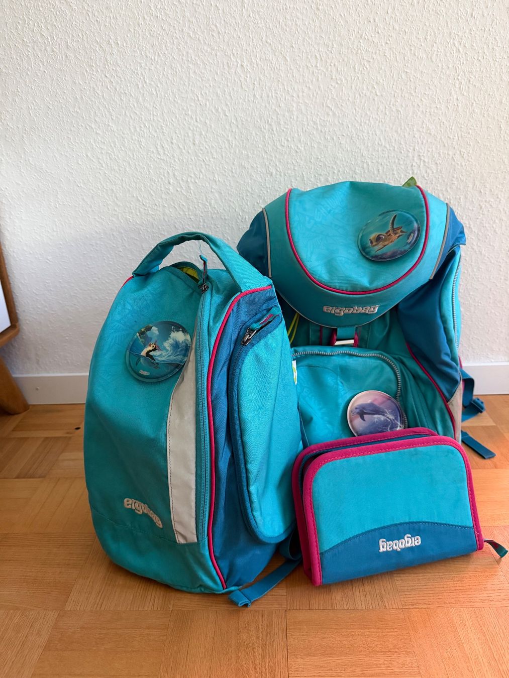 Ergobag Borse & Zaini: Ergobag Schultasche Set mit Sporttasche und Etui – Usato da Münchenstein venduto da Irynka