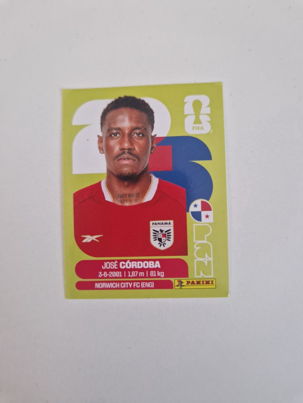 Panini Cartes à collectionner: Panini Sticker PAN8 – Neuf (Voir description) à Stüsslingen par white_angel86