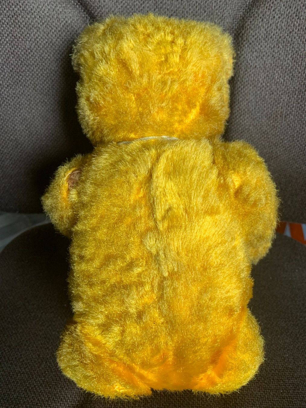 Welt der Tiere: Antiker Teddybär – Gebraucht aus Gundetswil von Egro01 4