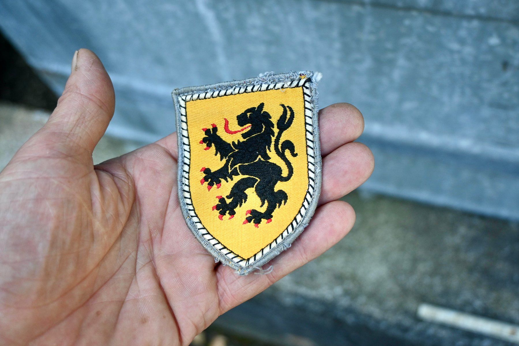 Uniformi: BUNDESWEHR Patch -  10th Panzer Division – Usato da Pfaffhausen venduto da mono_rec 5