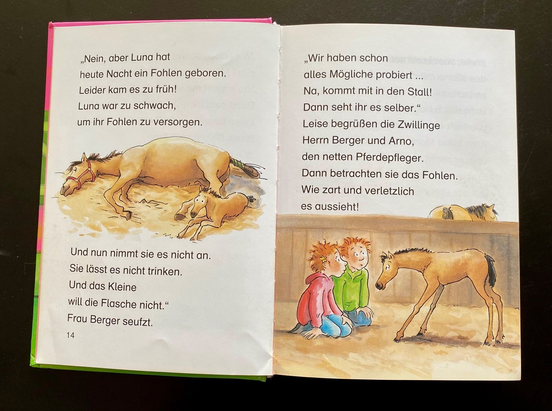 Libri: Ponyglück und Stallgeflüster / LOEWE – Usato da Nussbaumen AG venduto da schuba2000 4