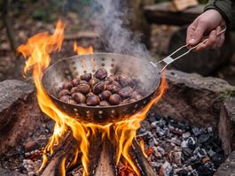 Edelstahl Grillschale / Maronipfanne – Zusammenklappbar