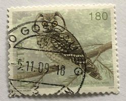 Nr. 1239 Dauermarken Einheimische Vögel Raufsskauz GESTEMPEL