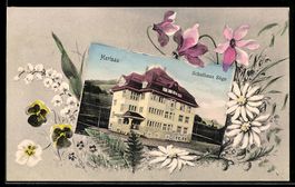 Passepartout-AK Herisau, Schulhaus Säge mit Blumenumrandung