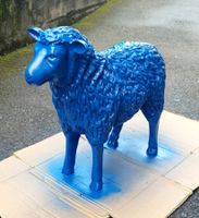 Schaf