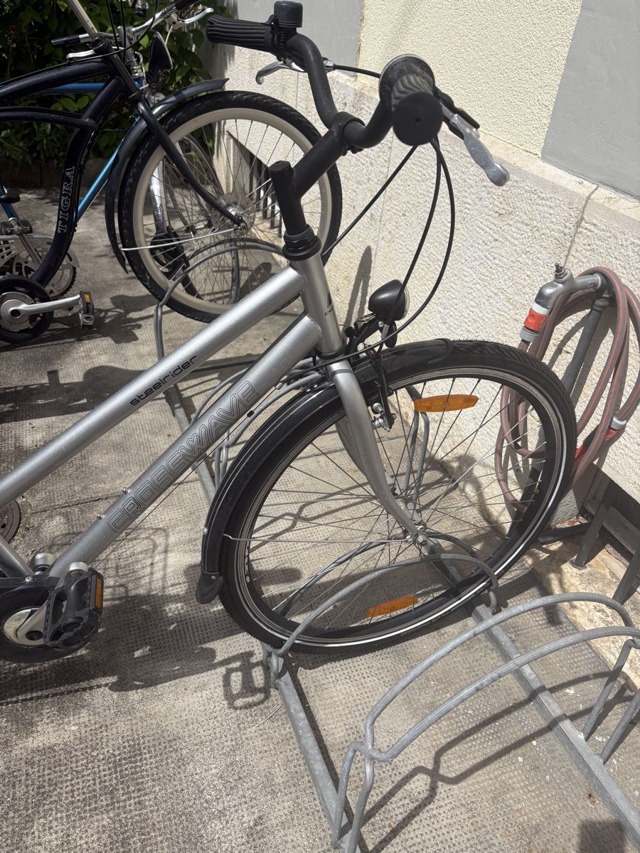 Crosswave Biciclette: Citybike – Usato da Basel venduto da sandra____ 5