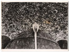 Fotografie Atlantic, Kalifornien 1939, H