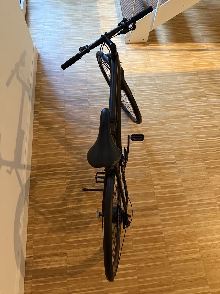 Biciclette: Ampler Bike, Curt Large, Black, Electric – Usato da Bottmingen venduto da GeoBasel42 4