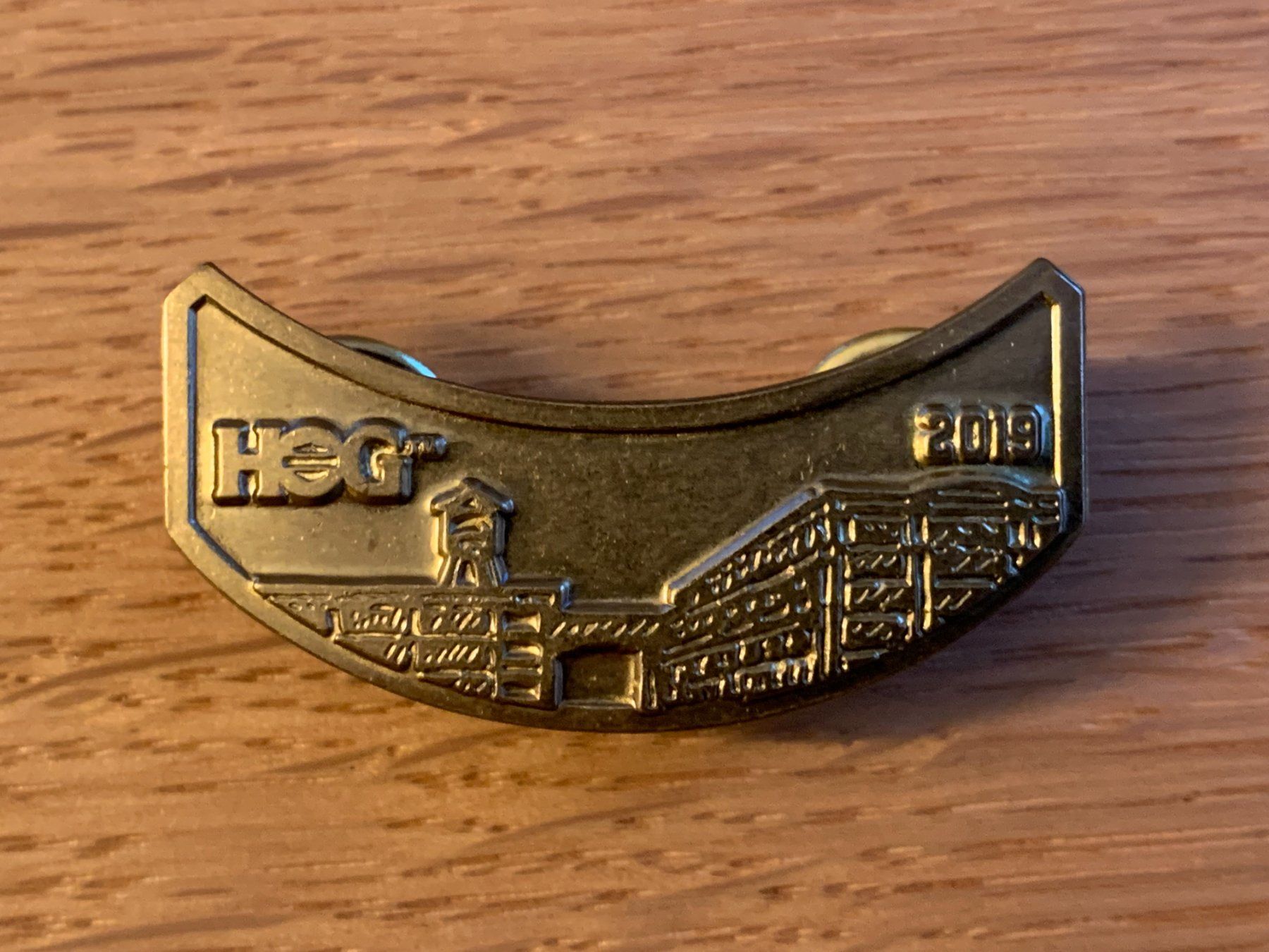 Harley-Davidson Toppe: Harley Owners Group 2019 Patch und Pin, Top Zustand – Nuovo e nell'imballaggio originale da Sarmenstorf venduto da habasa 2
