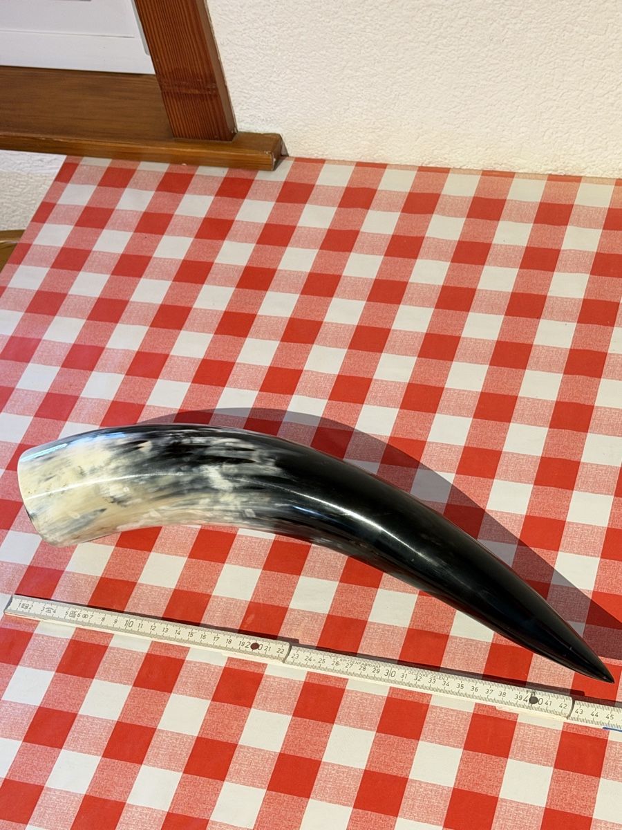 Alle Dekorationen: Corne à boire 45cm – Gebraucht aus Villarimboud von Beowulf1691 3