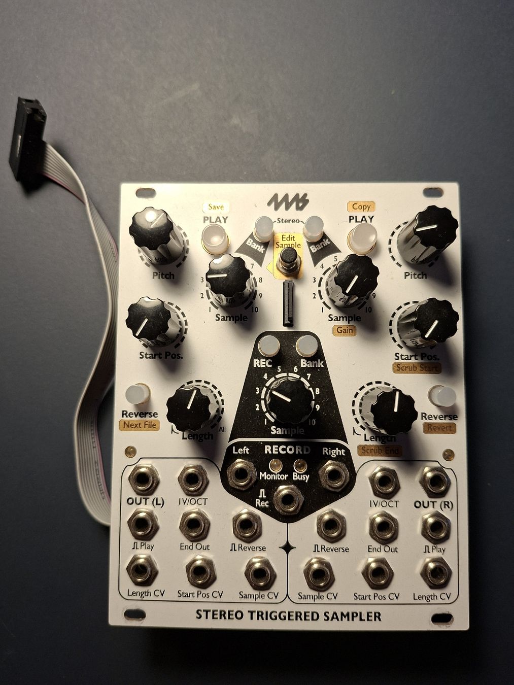 Instruments de musique: Module échantillonneur 4ms Stereo Triggered Sampler – D'occasion à Delémont par 8rec
