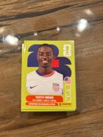 Panini USA 12