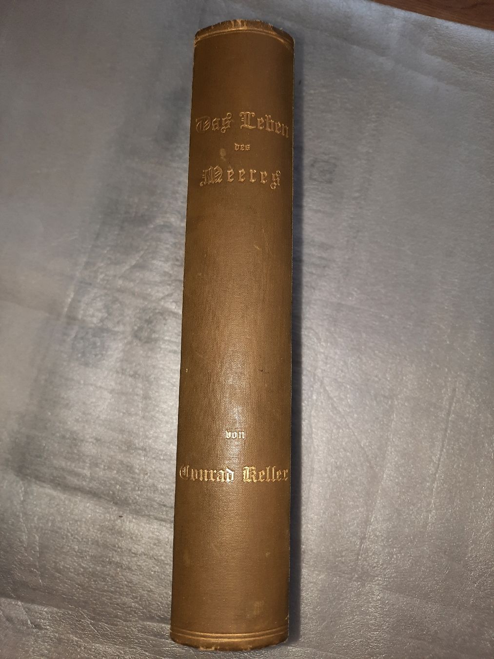 Libri: KELLER, Conrad: Das Leben des Meeres – Usato da Biasca venduto da Old_6blh 6