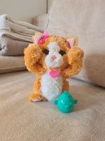 FurReal & Friends Daisy, Mein Verspieltes Kätzchen