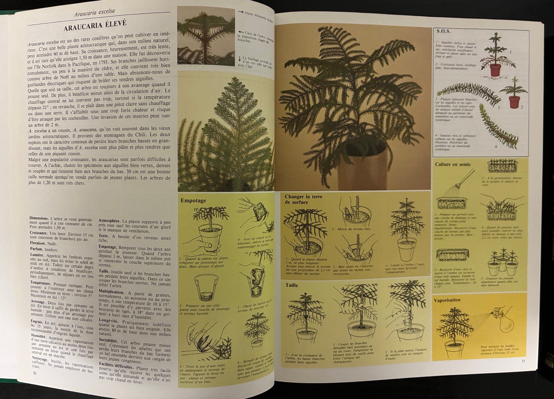 Libri: Soigner les plantes et les cactus – Usato da Moutier venduto da lebadin 2