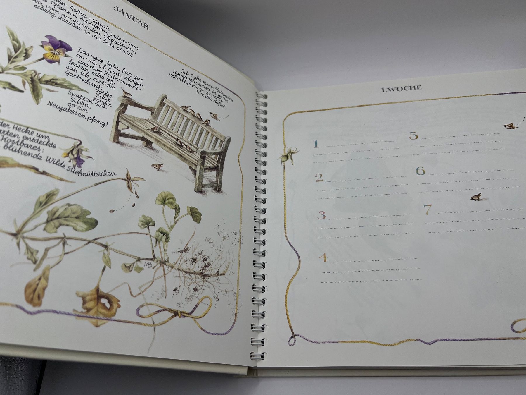 Libri: 📖 Gartentagebuch🪻 – Nuovo (secondo la descrizione) da Vaduz venduto da NotNeeded 3