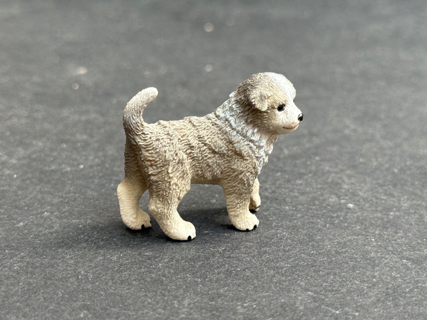 Schleich Figuren: Schleich Australian Shepherd Hund Hunde – Gebraucht aus Ennetbaden von mapa05 5