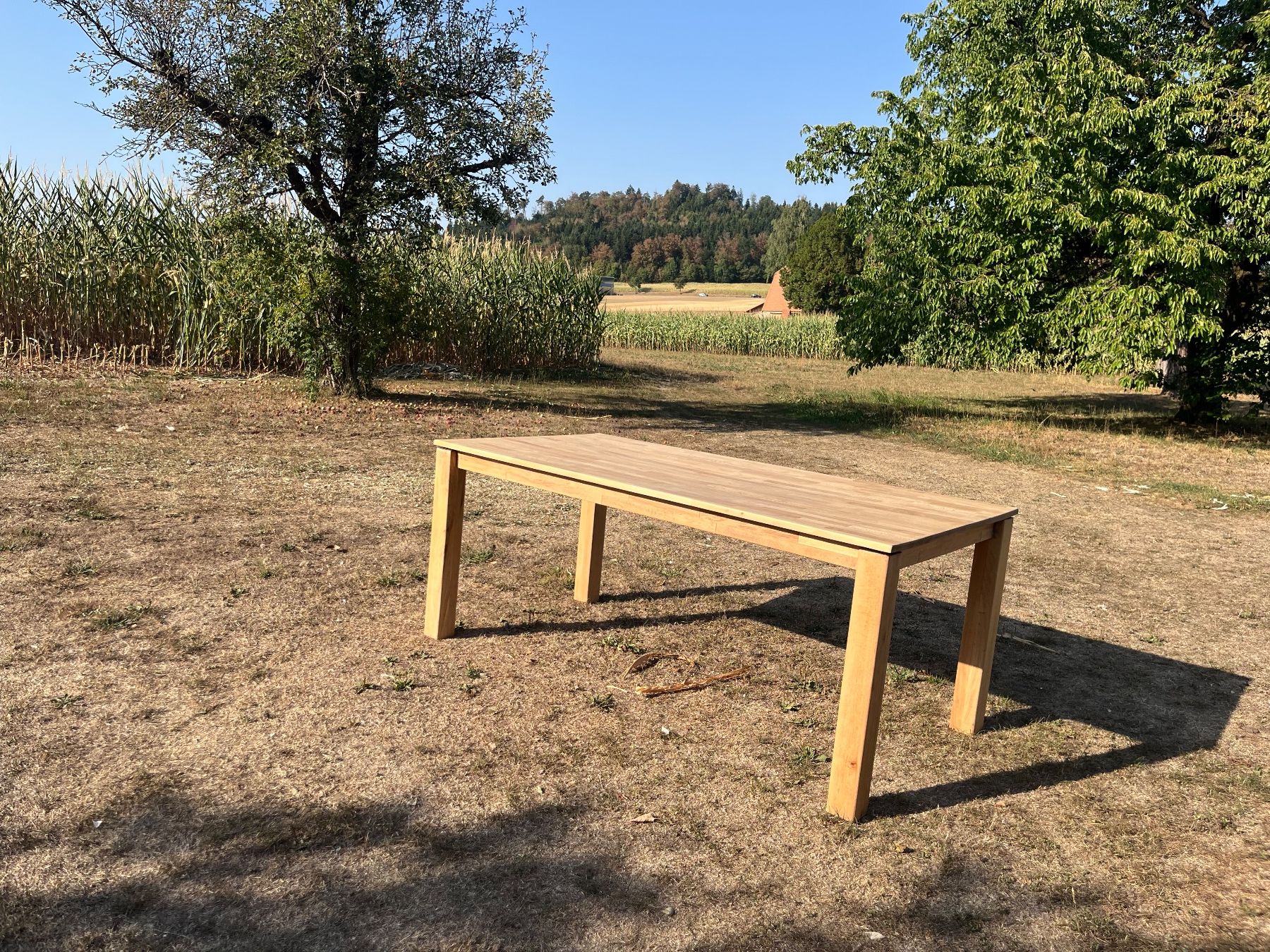 Tables: Tisch Massiv – D'occasion à Allmendingen b. BE par juair 5