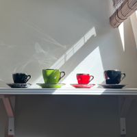 TERRA Kaffeetassen mit Platinrand