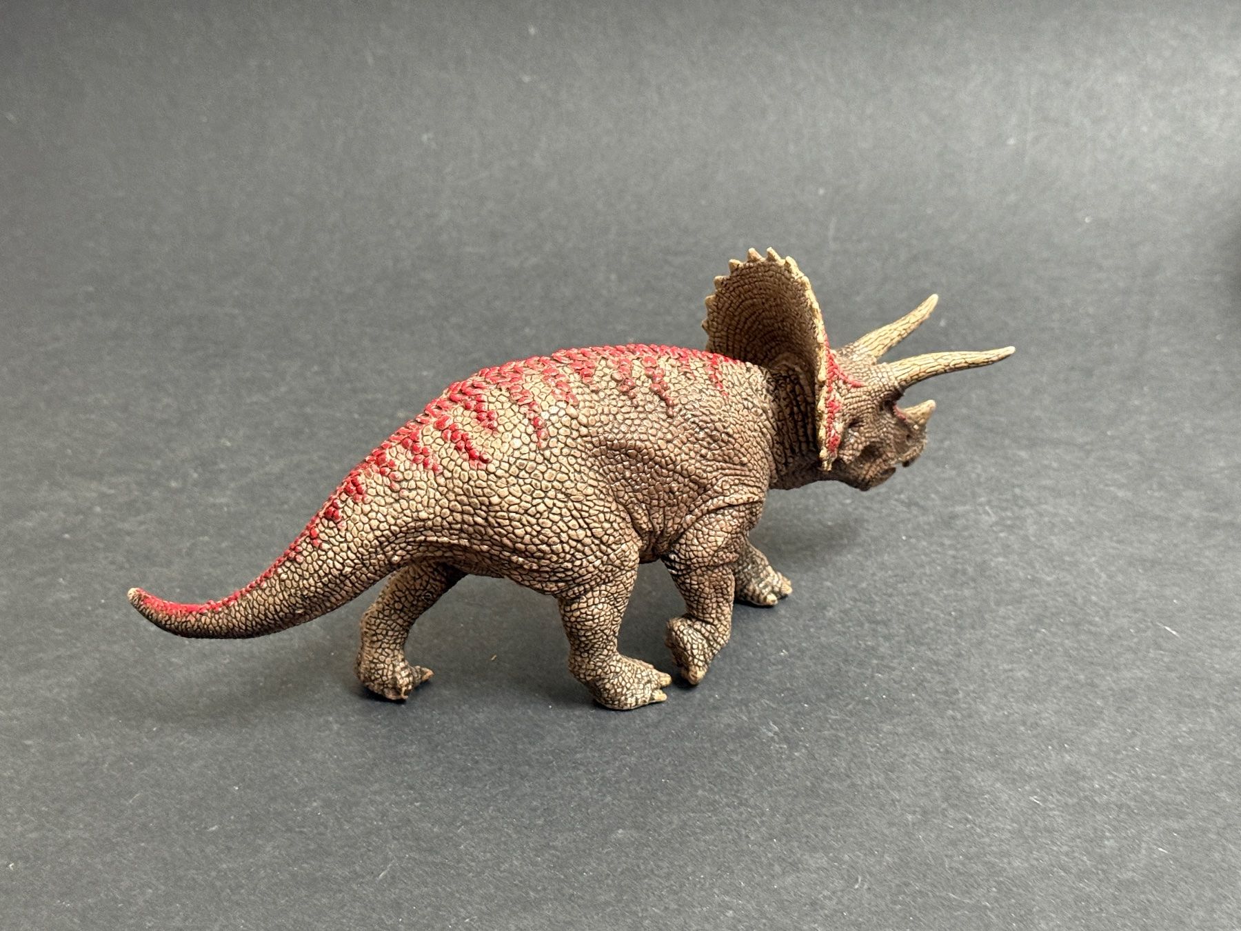 Schleich Statuette: Schleich Triceratops Dinosaurier Dino – Usato da Ennetbaden venduto da mapa05 5