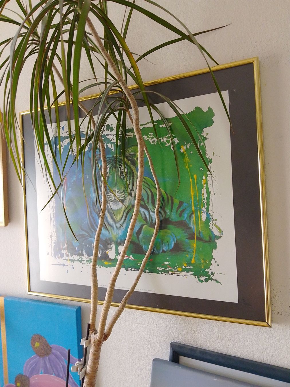 Posters & Illustrations: Rolf Kniebild – D'occasion à Weinfelden par PaterPio1968