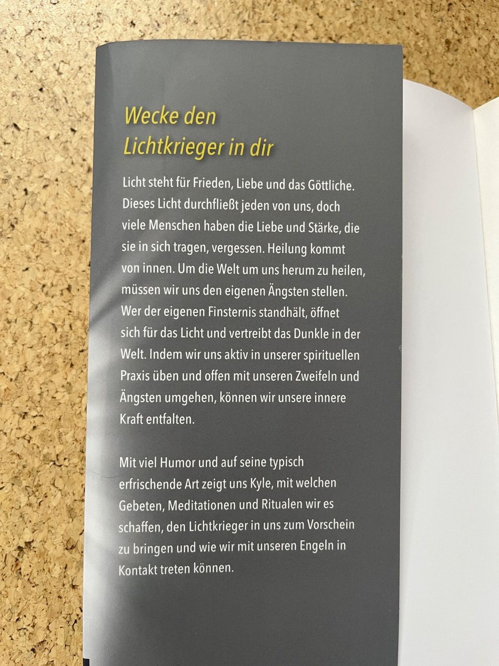 Libri: Taschenbuch "Light Warrior", Kyle Gray – Usato da Grosswangen venduto da Vita500 2