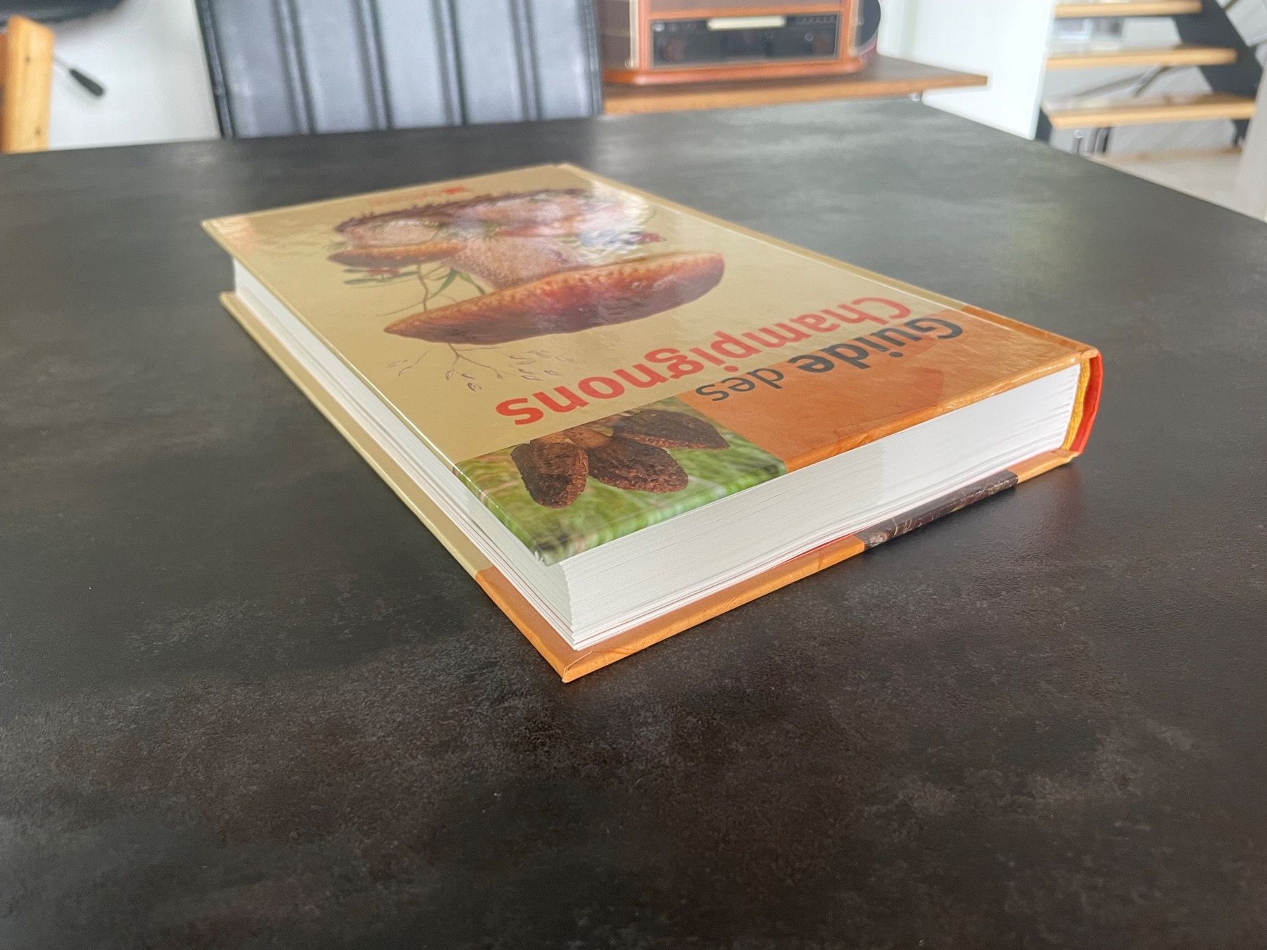 Libri: Livre Guide des Champignons – Usato da Vallamand venduto da Bricbracbroc82 2