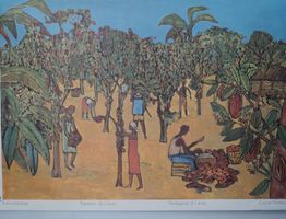⭐Schulwandbild – Kakaoplantage / Plantation de Cacao
