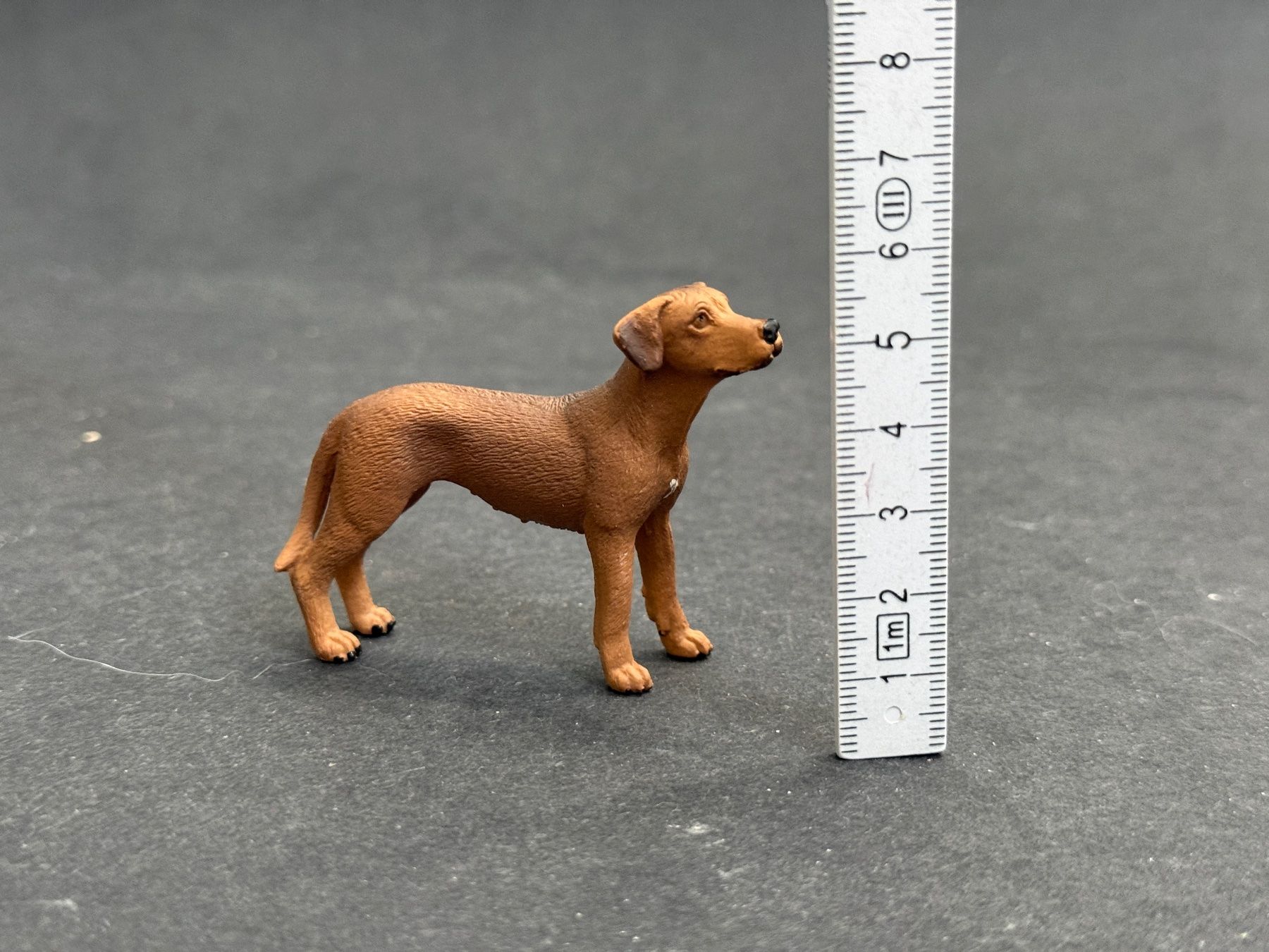 Schleich Figuren: Schleich Rhodesian Ridgeback Hund – Neu (gemäss Beschreibung) aus Ennetbaden von mapa05 2