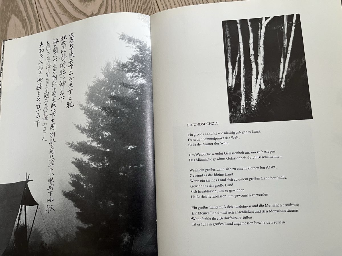 Bücher: Lao Tse - Tao Te King – Gebraucht aus Romanshorn von Apfelschuss 4