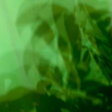 Profile image of posturo