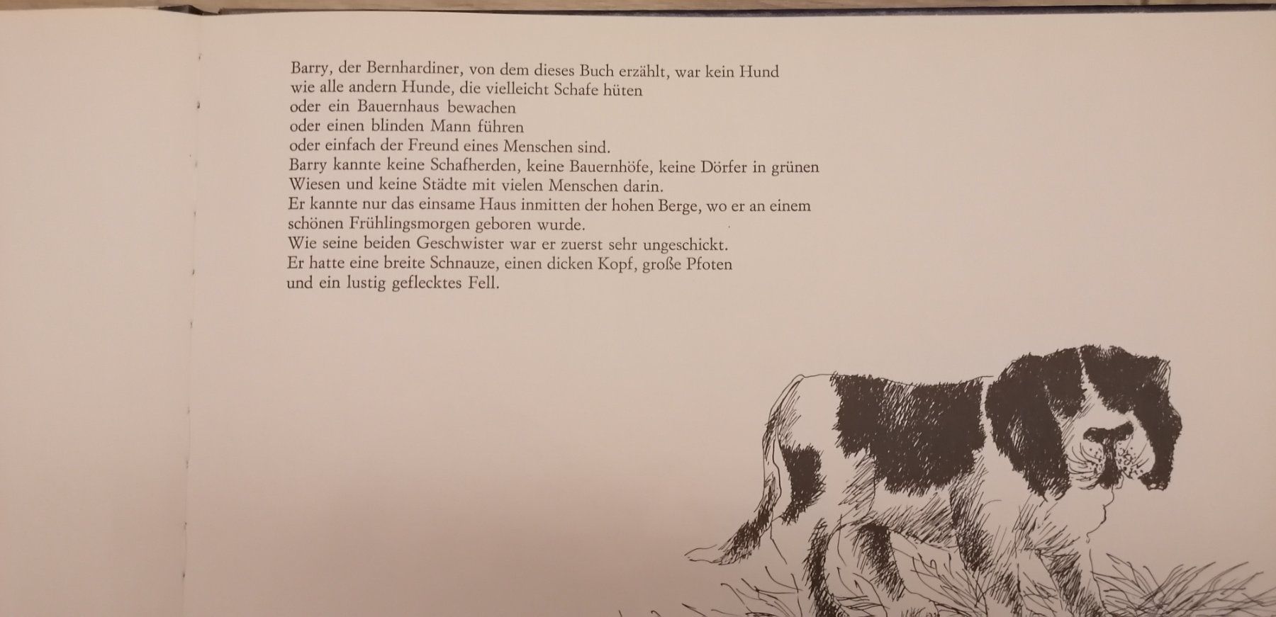 Livres: Barry - Kinderbuch von Atlantis – D'occasion à Schwarzenegg par musi09 3