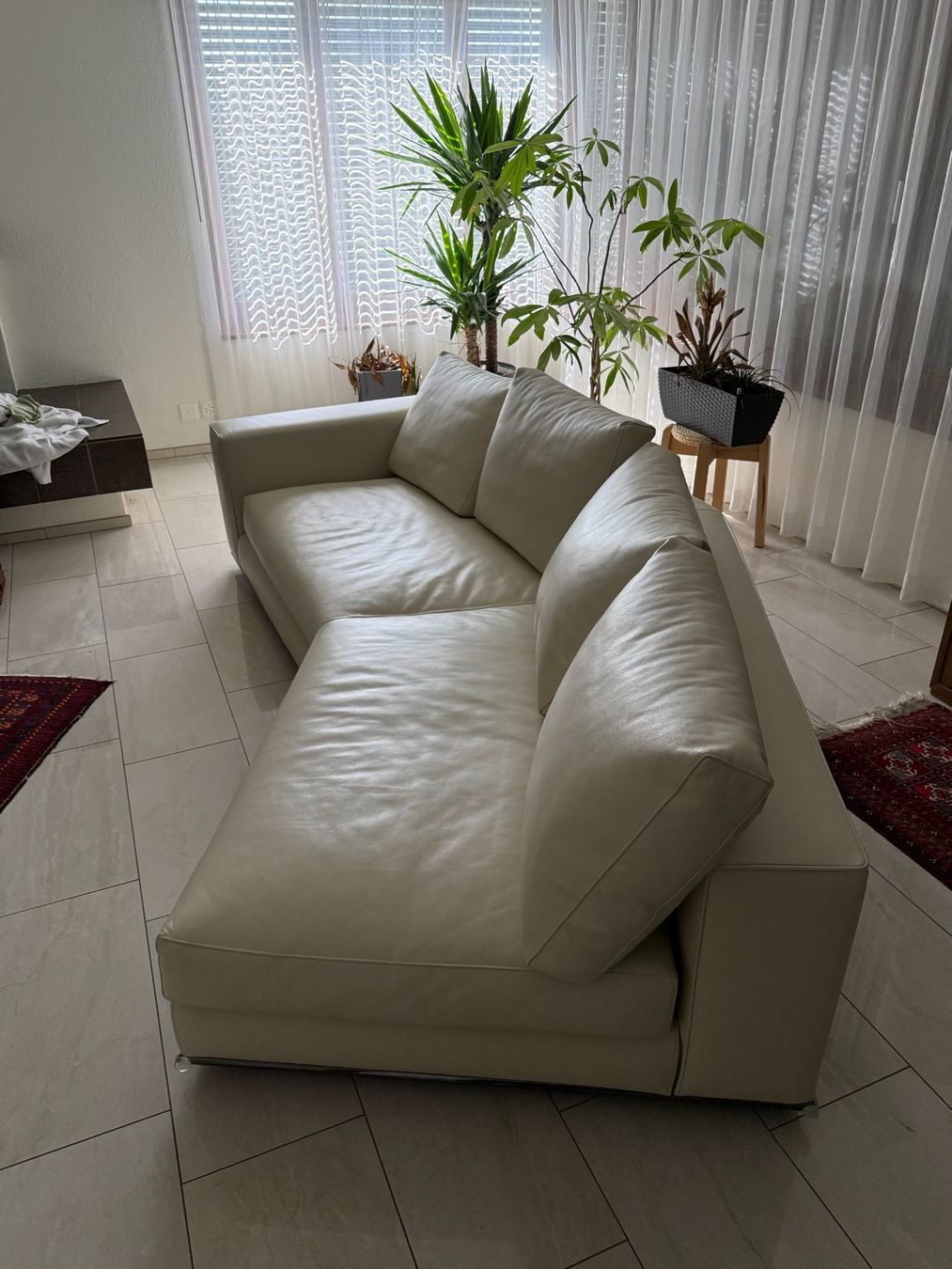 Minotti Sofas: Hochwertiges Ledersofa - Minotti – Gebraucht aus Obfelden von Giyni 1
