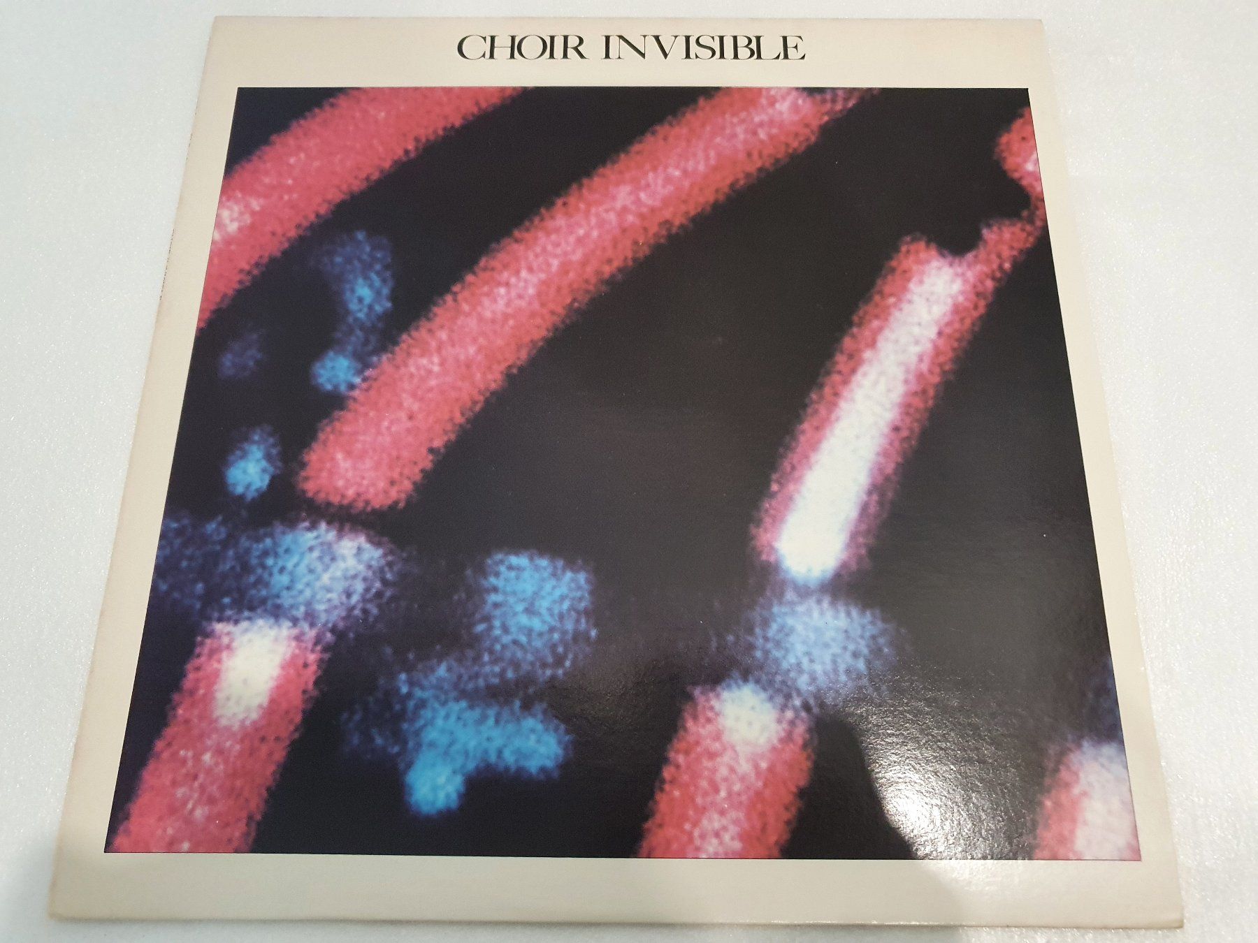 Schallplatten: Choir Invisible – Choir Invisible – Gebraucht aus Uster von Vinyl-Leidenschaft