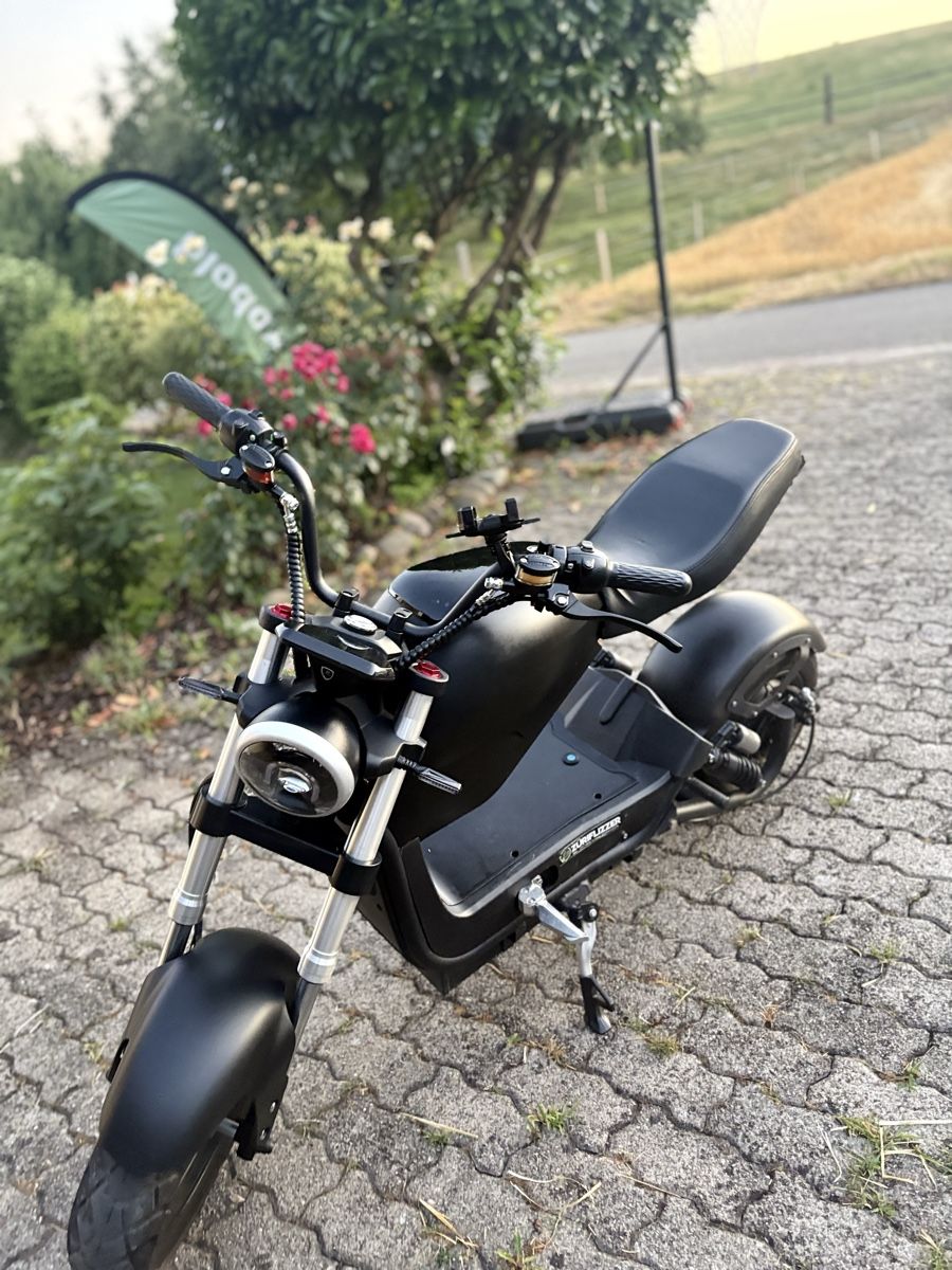 Züriflizzer Voiturettes électriques: Eroller City Max Rs – D'occasion à Muri AG par ahm_rqr7 4
