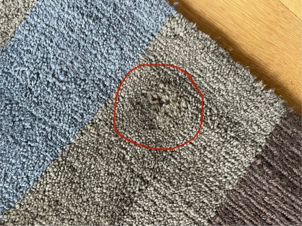 Ikea Tappeti: Wollteppich von Ikea – Usato da Neuenhof venduto da Juliaandromeo 6