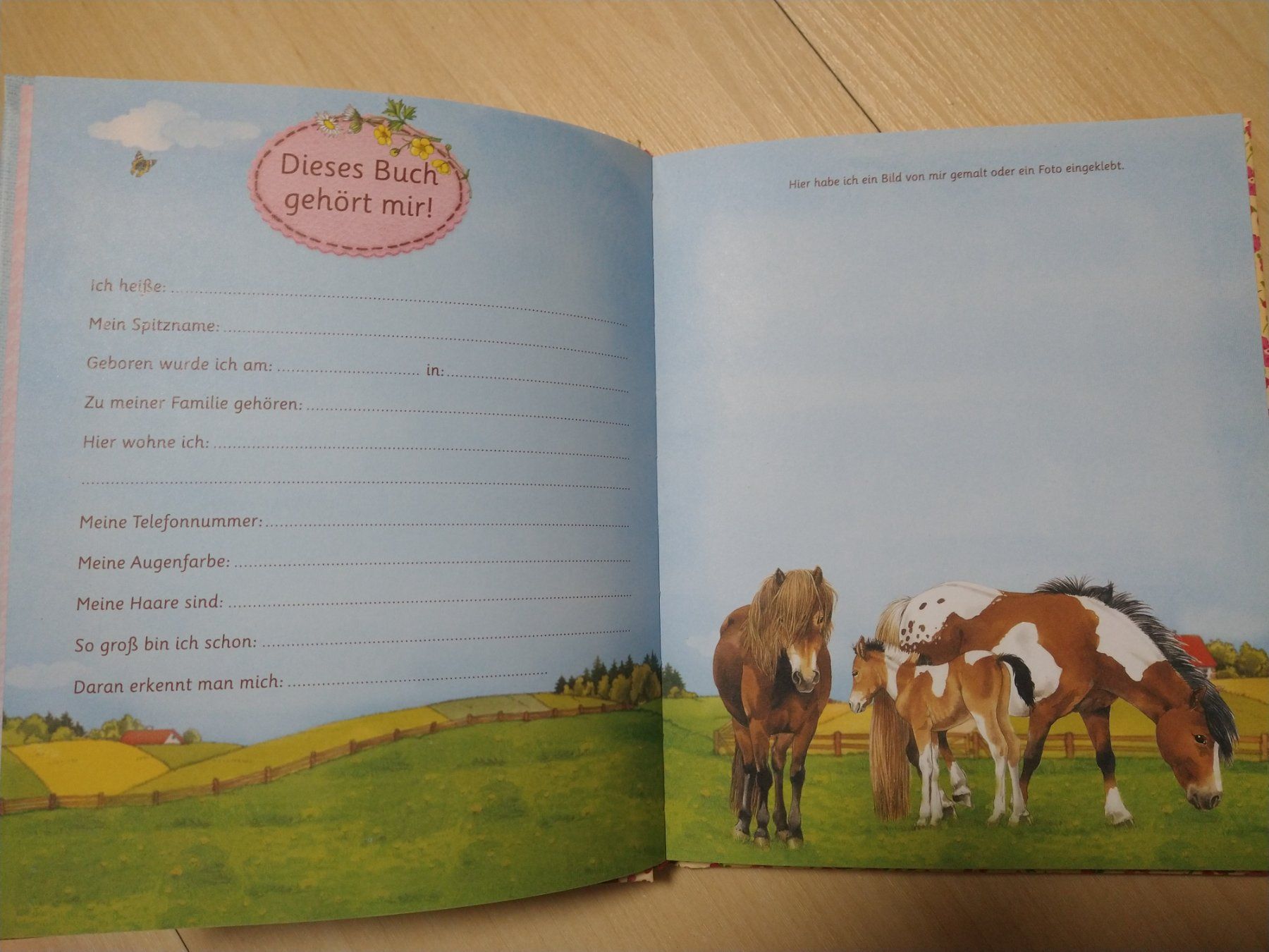 Libri: Freundebuch Kindergarten – Nuovo (secondo la descrizione) da Bätterkinden venduto da livingdreams 1