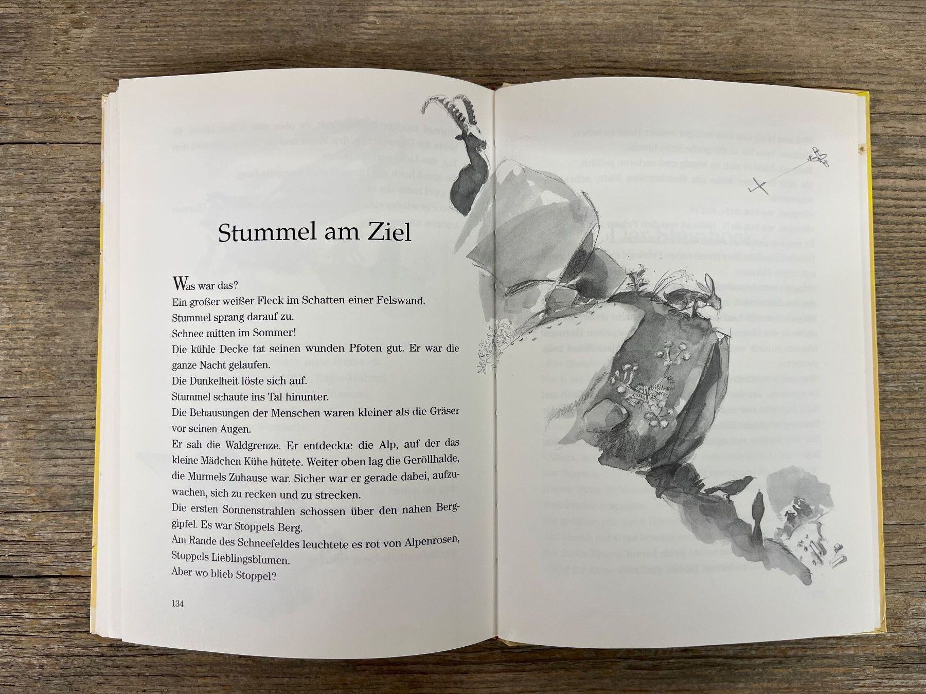 Libri: Vorlesebuch: Stummel ein Hasenkind wird gross, 1. Aufl. 1999 – Usato da Pfäffikon ZH venduto da buresi 8