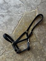 Licol cuir noir taille cob 
