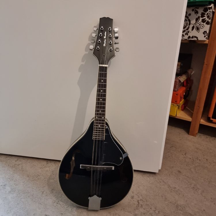 Harley Benton Mandoline Kaufen auf Ricardo