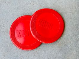 Kong Hunde-Frisbee rot, 18cm, 2 Stk.