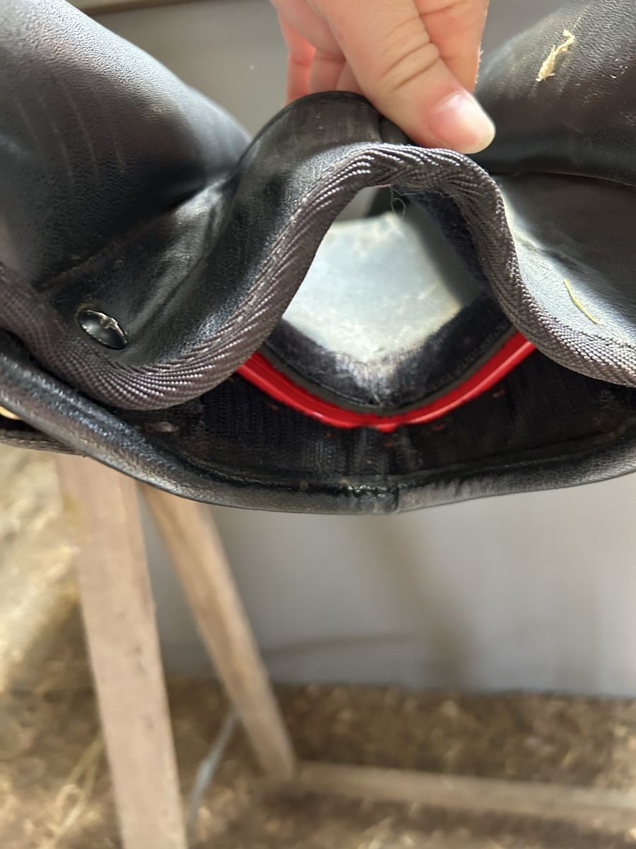 Selles, accessoires: Wintec VS  – D'occasion à Thörigen par jojo.258 4