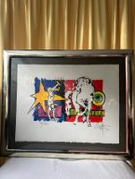 Rolf Knie Harlequin mit Lipizzaner