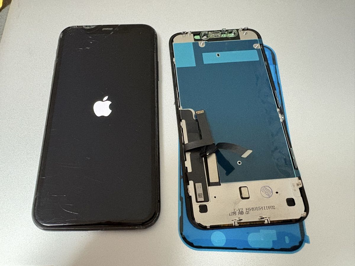 Apple Portables: iPhone 11 gebraucht  – D'occasion à Turbenthal par Winc 1