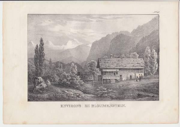 Incisioni: BLUMENSTEIN, LITHOGRAPHIE UM 1840 – Usato da Grüningen venduto da Kartensammler