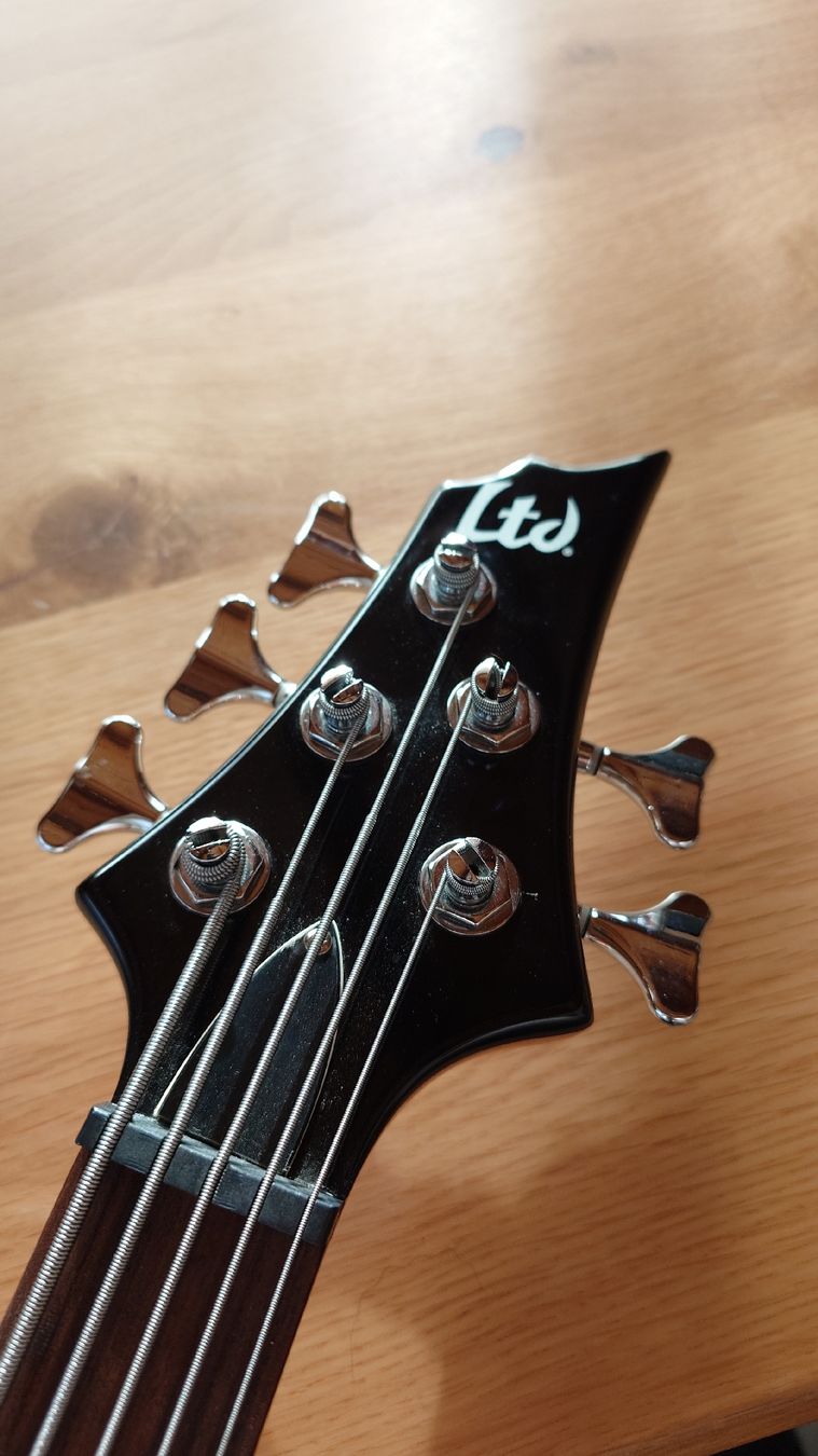 Musikinstrumente: Basse 5 cordes LTD B-55 – Gebraucht aus Flanthey von North_altitude 1