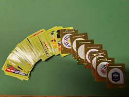 Panini WM 2026 100 Karten